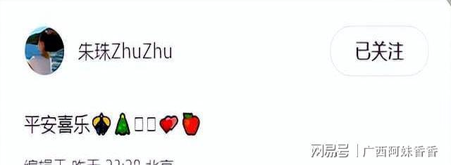 开元棋牌试玩朱珠搂着老公过圣诞！4岁女儿挺小圆肚戴皇冠岳父母现场夸女婿(图6)